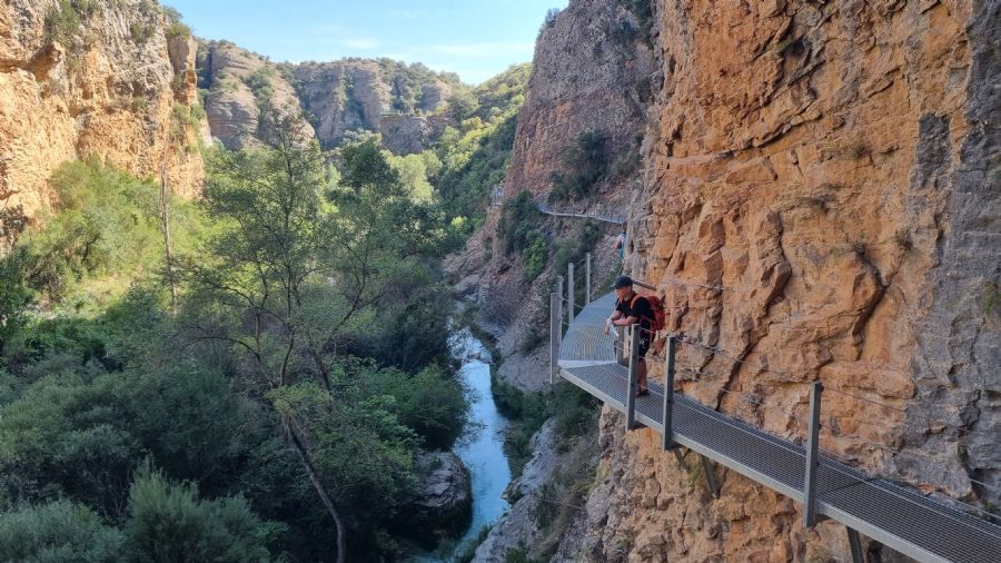שביל הגשרים 